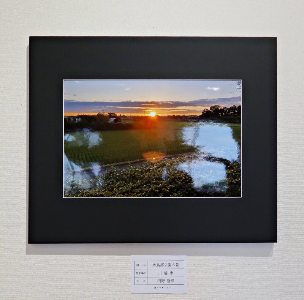 令和7年秋「満月写真クラブ」水鳥郷公園の朝画像