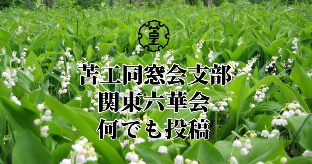 令和８年 平取町から届いた、初夏のすずらんの香りをお届けします