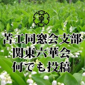 令和８年 平取町から届いた、初夏のすずらんの香りをお届けします